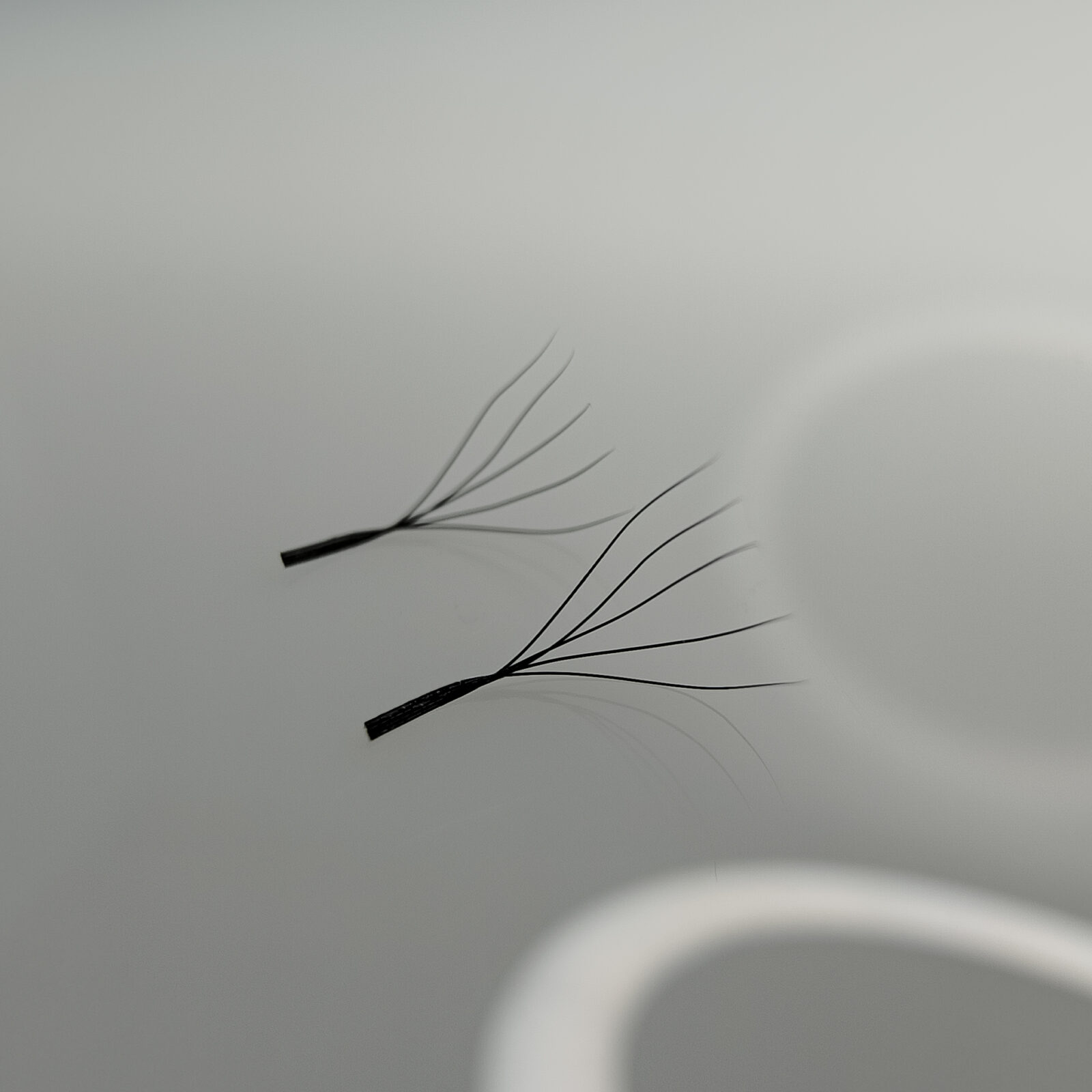 5d-eyelashes